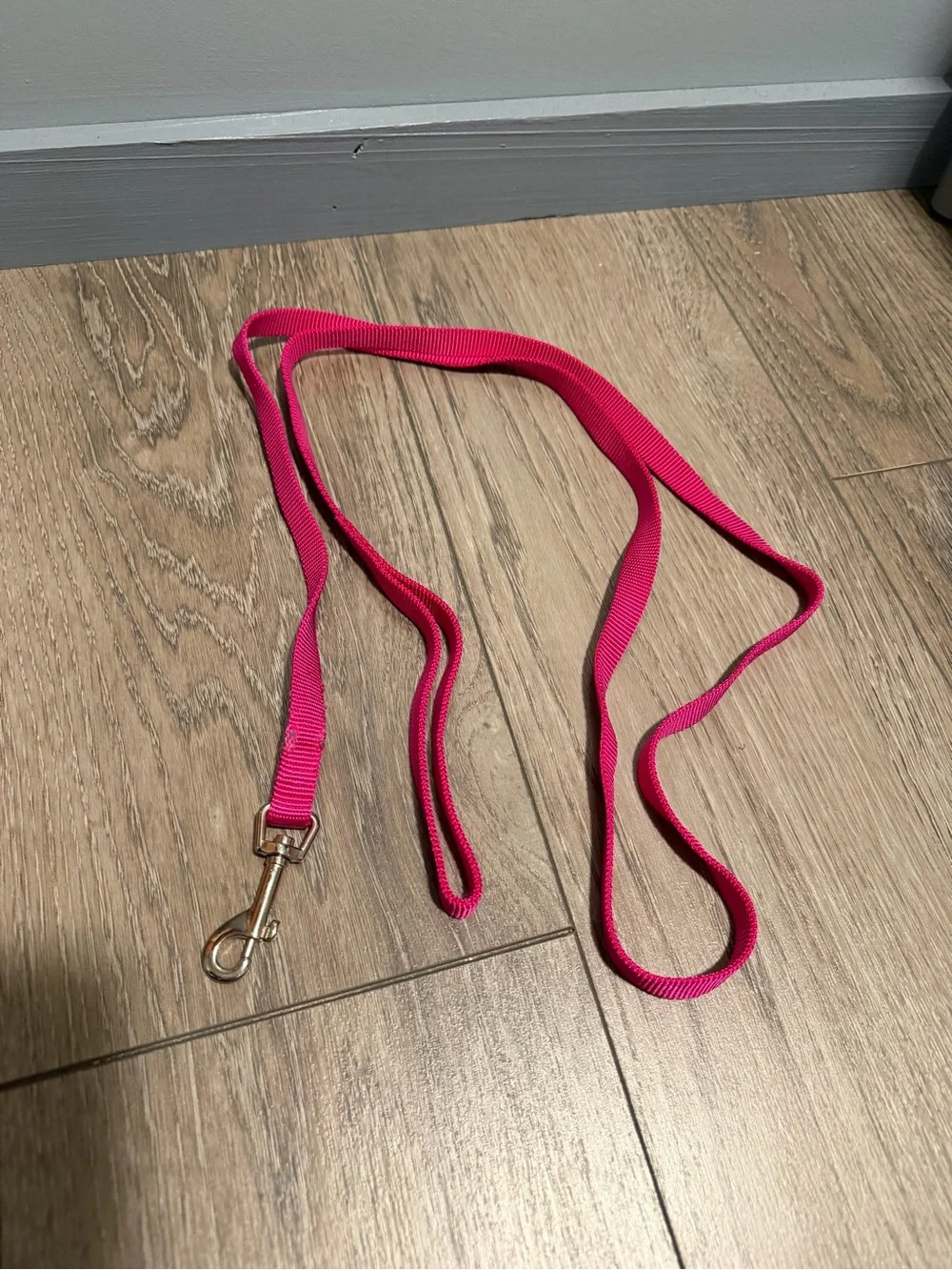 Lot of dog leashes